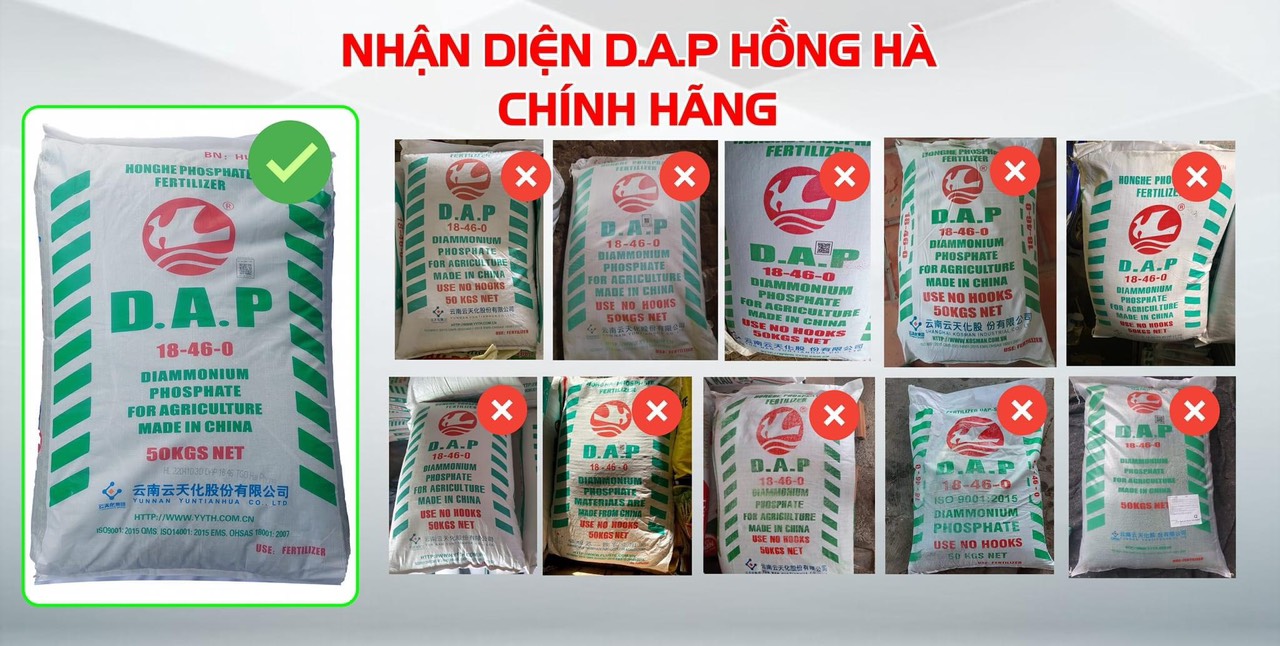 PHÂN BIỆT DAP HỒNG HÀ CHÍNH HÃNG