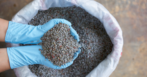 một số loại phân nổi tiếng trên thị trường